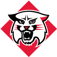 夏洛特大学