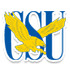 詹姆斯麦迪逊大学