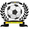 化学FC