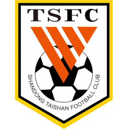 龙仁FC